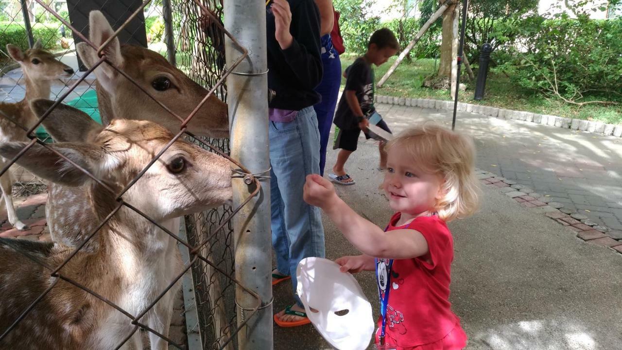 Howard Beach Resort Kenting Εξωτερικό φωτογραφία Feeding the kangaroos